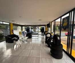 Michelin Car Service Eurollantas Suc. Carranza imagen 4