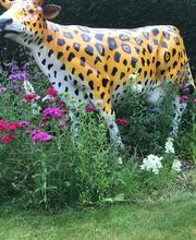 Royal Jardin sarl Bild 12