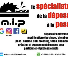MIP image 3