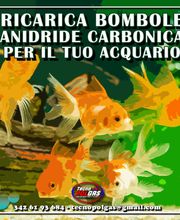 Gallery Professionale