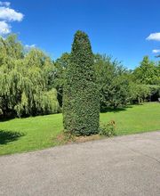 LOUBIERE DOMINIQUE image 6