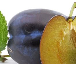 Dreyer AG - Früchte, Gemüse, Tiefkühlprodukte Bild 7