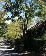 Camping Ruta del Purche imagen 17