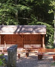 FriedWald Planitzwald Bild 9
