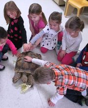 The Children's Center of New Milford, Inc image 4