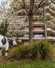 EMS Clos Brochet Bild 1