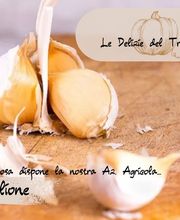 Agriturismo Il Sogno immagine 20