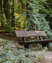 Bänke an den Waldwegen im FriedWald Kalletal laden zum Verweilen ein.