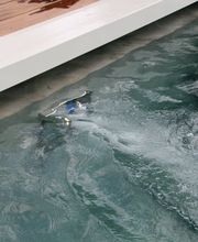 LEHNERT AG Teich - und Poolcenter Bild 9