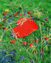 finis GmbH - individuelle Bestattungen Bild 1