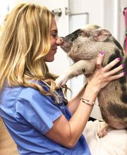 Pompton Lakes Animal Hospital image 7