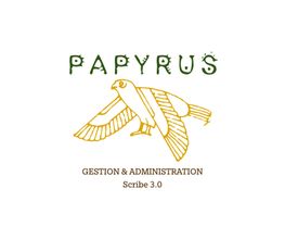 Papyrus image 1