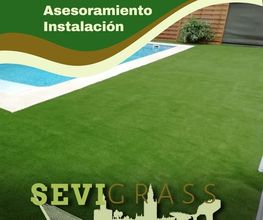 foto3sevigrass.jpg