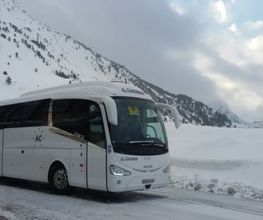 a-campano-5.jpg