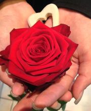 Style Fleurs di Andreetta Isab Bild 7