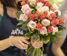 Monceau Fleurs Rocade image 7
