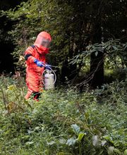 ALP17 image 4