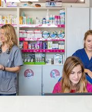 Clinique Vétérinaire des 2 Vallées image 17