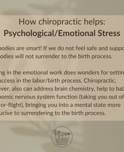 Rooted Chiropractic Club image 1