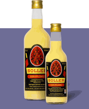 Soller Junghennen AG Bild 5