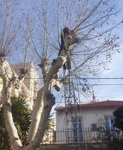 Sannier David Espaces Verts image 8