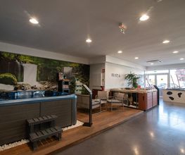 Authentic Spa image 11