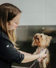 Mökai Mascotas imagen 7