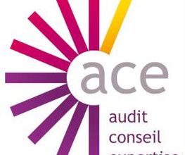ACE image 3