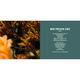 Grossenbacher Martin Blumen