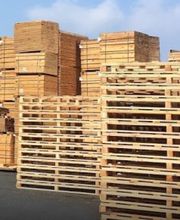 Concept Eco Bois image 4