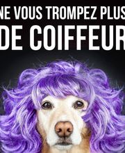 Art'S et Couleurs Feynaud Fabienne image 4