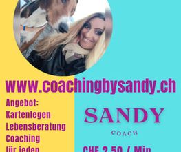 PRAXIS LIFESTYLE TADROSS Bild 5