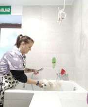 Y yo con estos pelos imagen 5