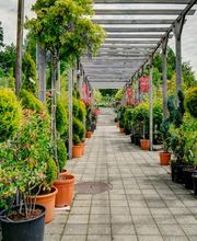 Burnier Garden Centre de Lavaux Bild 7
