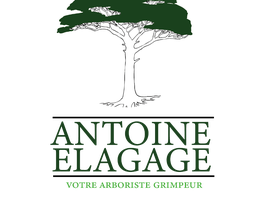 Antoine élagage image 6