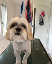 Chez Miss Perle image 18