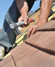 Genesis Confort image 7