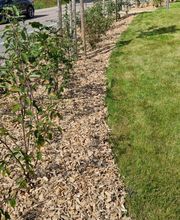 Grünanlagen arbeiten (8).jpg