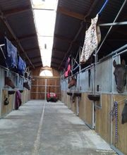 Haras De l'Epine Noire image 15