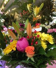 Donzier Fleurs image 15