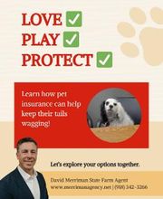 David Merriman - State Farm Insurance Agent image 8