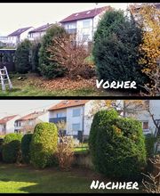 Andreas Steger, Forst- und Gartenservice Bild 5