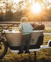 vit:bikes e-Bike Welt Limburg Bild 5