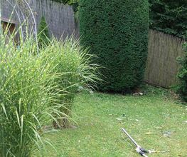 No Limit Gartengestaltung Bild 1