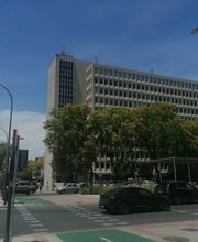 305892887-1-k7EgZxaT5z1780416650929.jpeg
