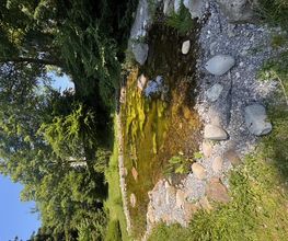 Gartencoach Dario Peyer Bild 7