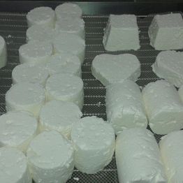 Chèvrerie du Mont de Fuans