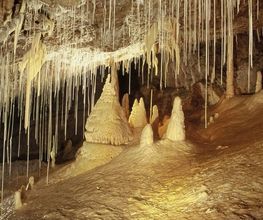 Grottes de Vallorbe SA Bild 5