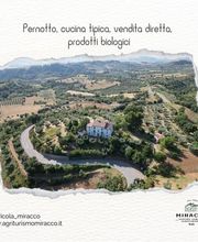 AZIENDA AGRICOLA MIRACCO ATANASIO FRANCO immagine 8