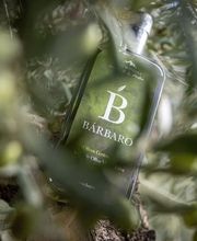 Aceite de Oliva Virgen Extra Bárbaro imagen 5